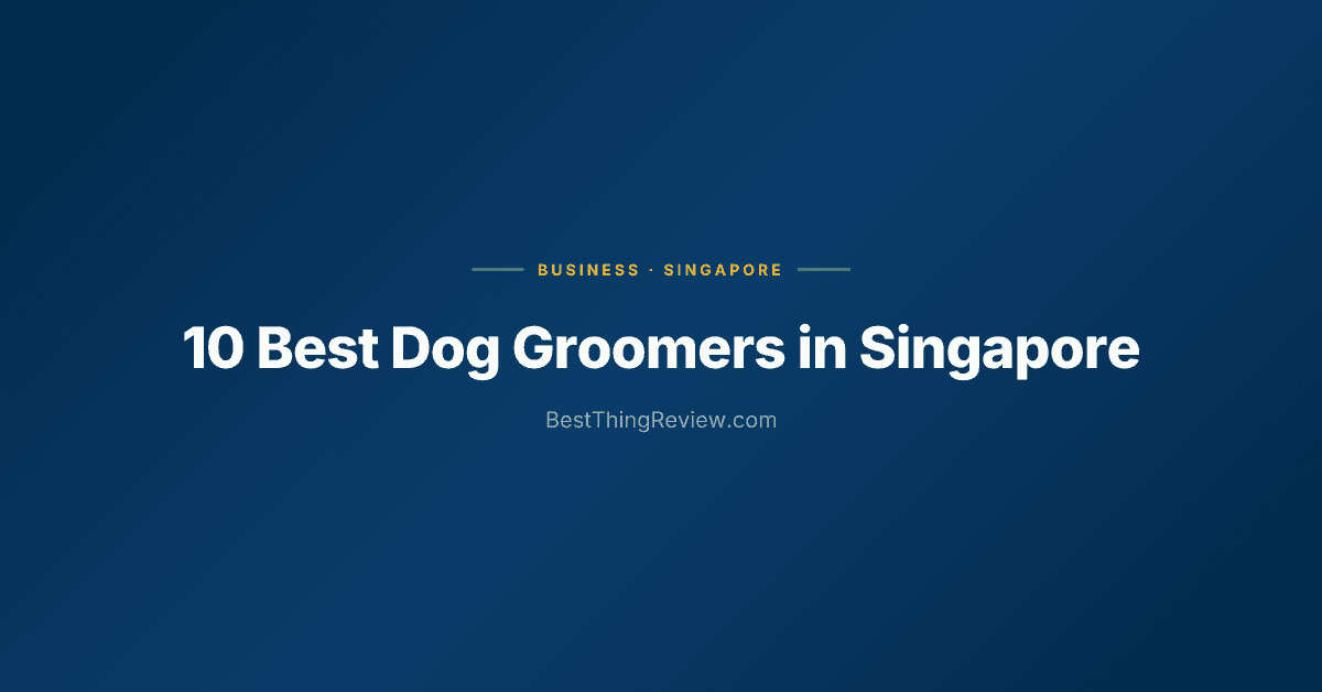 10 Best Dog Groomers in Singapore (2026)